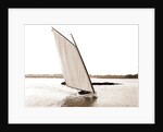 Rocket (Sailboat), 1880 by Anonymous