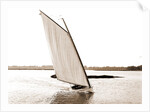 Rocket (Sailboat), 1880 by Anonymous