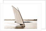 Rocket (Sailboat), 1880 by Anonymous