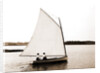 Mab (Sailboat), 1880 by Anonymous