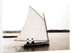Mab (Sailboat), 1880 by Anonymous