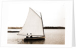 Mab (Sailboat), 1880 by Anonymous