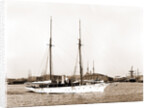 Wild Duck (Steam yacht), 1891 by Anonymous
