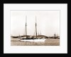 Wild Duck (Steam yacht), 1891 by Anonymous