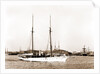 Wild Duck (Steam yacht), 1891 by Anonymous