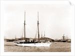 Wild Duck (Steam yacht), 1891 by Anonymous
