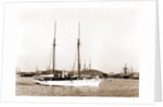 Wild Duck (Steam yacht), 1891 by Anonymous