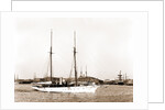 Wild Duck (Steam yacht), 1891 by Anonymous