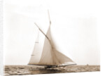 Saladin (Yacht) by Anonymous