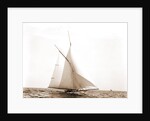 Saladin (Yacht) by Anonymous