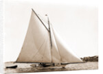 Lassie (Cutter), 1881 by Anonymous