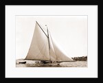 Lassie (Cutter), 1881 by Anonymous