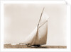 Beatrix, Harpoon (Yacht) by Anonymous