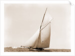 Beatrix, Harpoon (Yacht) by Anonymous