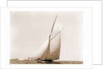 Beatrix, Harpoon (Yacht) by Anonymous