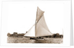 Ione (Yacht) by Anonymous