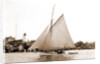 White Wing (Yacht) by Anonymous