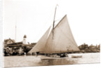 White Wing (Yacht) by Anonymous