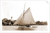 White Wing (Yacht) by Anonymous