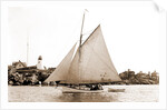 White Wing (Yacht) by Anonymous
