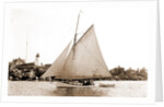 White Wing (Yacht) by Anonymous