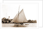 White Wing (Yacht) by Anonymous