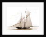 Volunteer (Yacht) by Anonymous