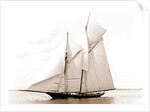 Volunteer (Yacht) by Anonymous