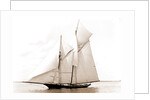 Volunteer (Yacht) by Anonymous