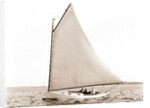 Firefly (Yacht) by Anonymous