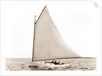 Firefly (Yacht) by Anonymous