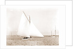 Eureka (Yacht) by Anonymous