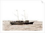 Navarch (Steam yacht), 1880 by Anonymous