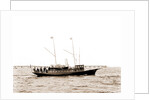 Navarch (Steam yacht), 1880 by Anonymous