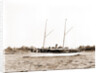 Melissa (Steam yacht), 1880 by Anonymous