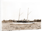 Melissa (Steam yacht), 1880 by Anonymous