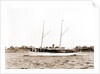 Melissa (Steam yacht), 1880 by Anonymous
