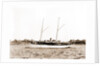 Melissa (Steam yacht), 1880 by Anonymous