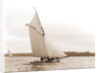 Arab (Yacht) by Anonymous