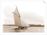 Arab (Yacht) by Anonymous