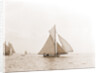 Swordfish (Yacht) by Anonymous