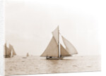Swordfish (Yacht) by Anonymous