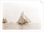 Swordfish (Yacht) by Anonymous