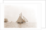 Swordfish (Yacht) by Anonymous