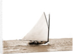 Madge (Yacht) by Anonymous