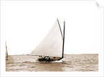 Madge (Yacht) by Anonymous