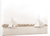 Hawk and Handsel, Hawk (Yacht) by Anonymous
