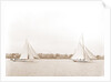 Hawk and Handsel, Hawk (Yacht) by Anonymous