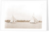 Hawk and Handsel, Hawk (Yacht) by Anonymous