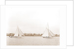 Hawk and Handsel, Hawk (Yacht) by Anonymous